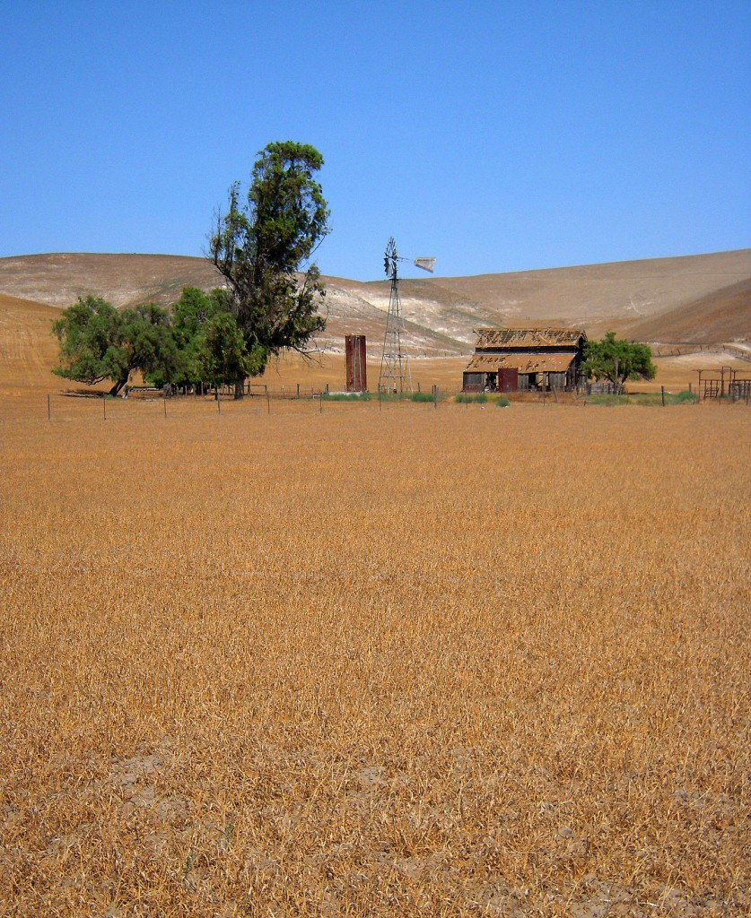 Barren hills near the Hamilton Ranch photograph by David Laws